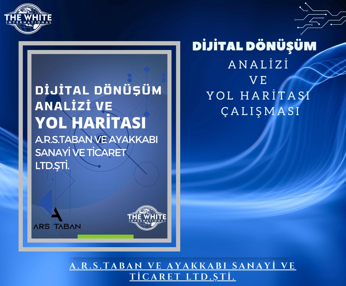 Digital Transformation Analysis and Roadmap Study - A.R.S.TABAN VE AYAKKABI SANAYİ VE TİCARET LTD.ŞTİ.