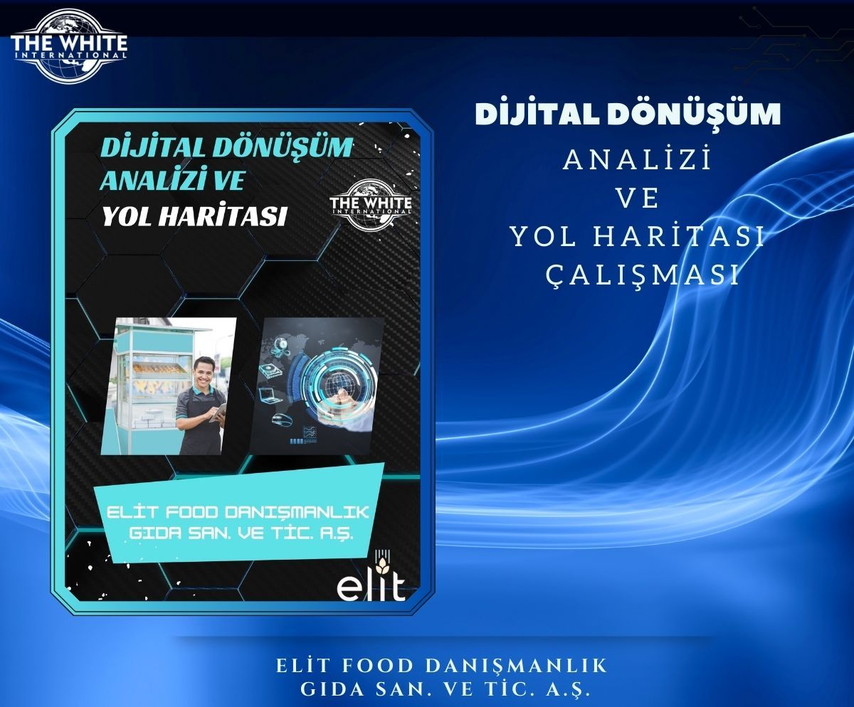 Digital Transformation Analysis and Roadmap Study - ELİT FOOD DANIŞMANLIK GIDA SANAYİ VE TİCARET. Inc.