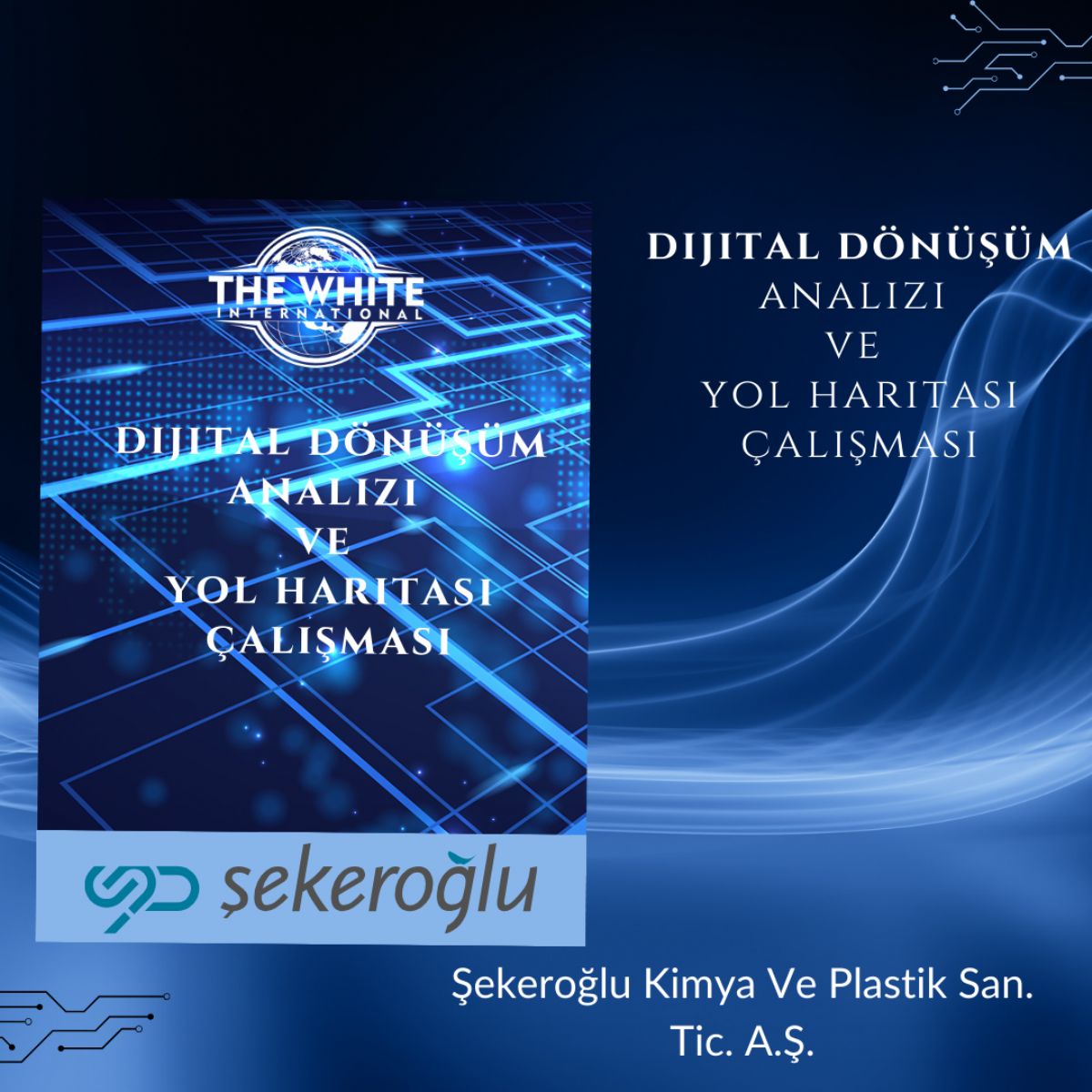 Digital Transformation Analysis and Roadmap Study-Şekeroğlu Kimya Ve Plastik San. Tic. Inc.