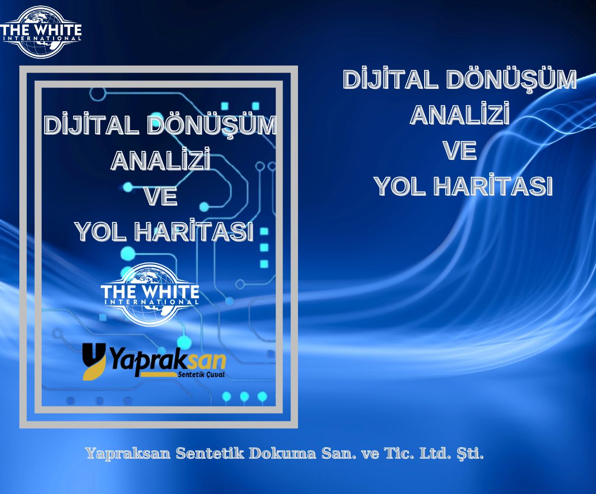 Dijital Dönüşüm Analizi ve Yol Haritası Çalışması - Yapraksan Sentetik Dokuma San. ve Tic. Ltd. Şti.