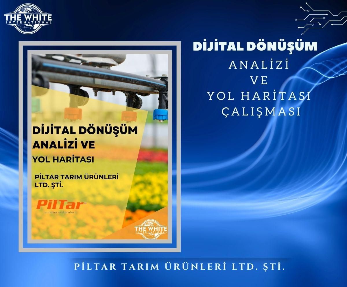 Digital Transformation Analysis and Roadmap Study-PİLTAR TARIM URUNLERI LTD. STI.