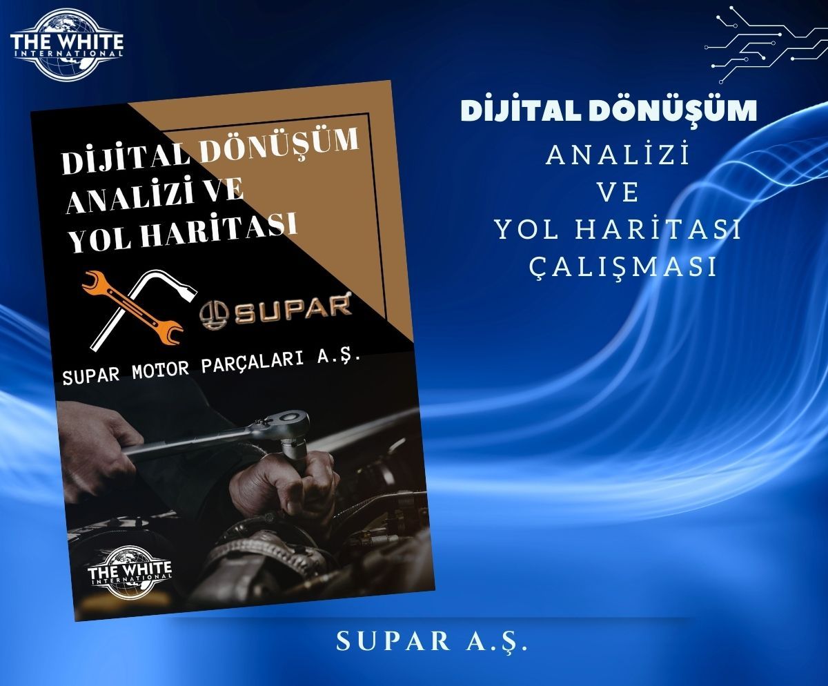 Digital Transformation Analysis and Roadmap Study - SUPAR A.Ş.