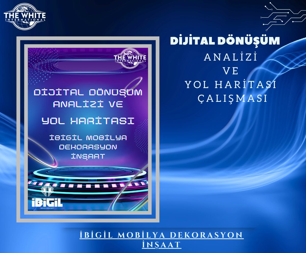 Digital Transformation Analysis and Roadmap Study - İBİGİL MOBİLYA DEKORASYON İNŞAAT SAN. VE TİC. LTD. STI.