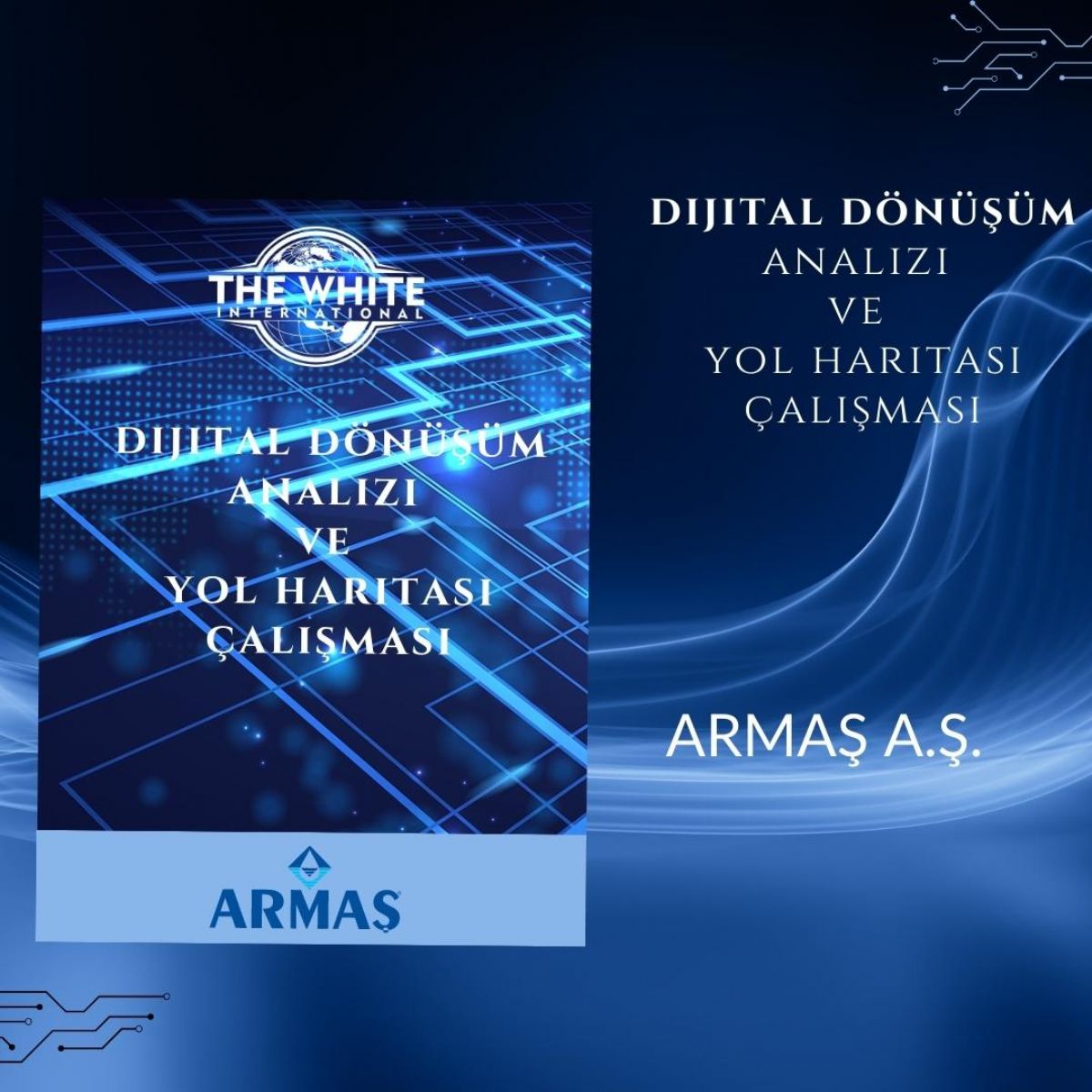 Digital Transformation Analysis and Roadmap Study - ARMAŞ A.Ş.