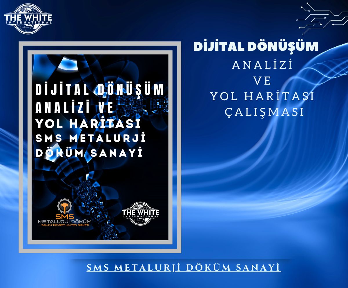 Digital Transformation Analysis and Roadmap Study - Sms Metalurji Döküm Sanayi Ticaret Limited Şirketi