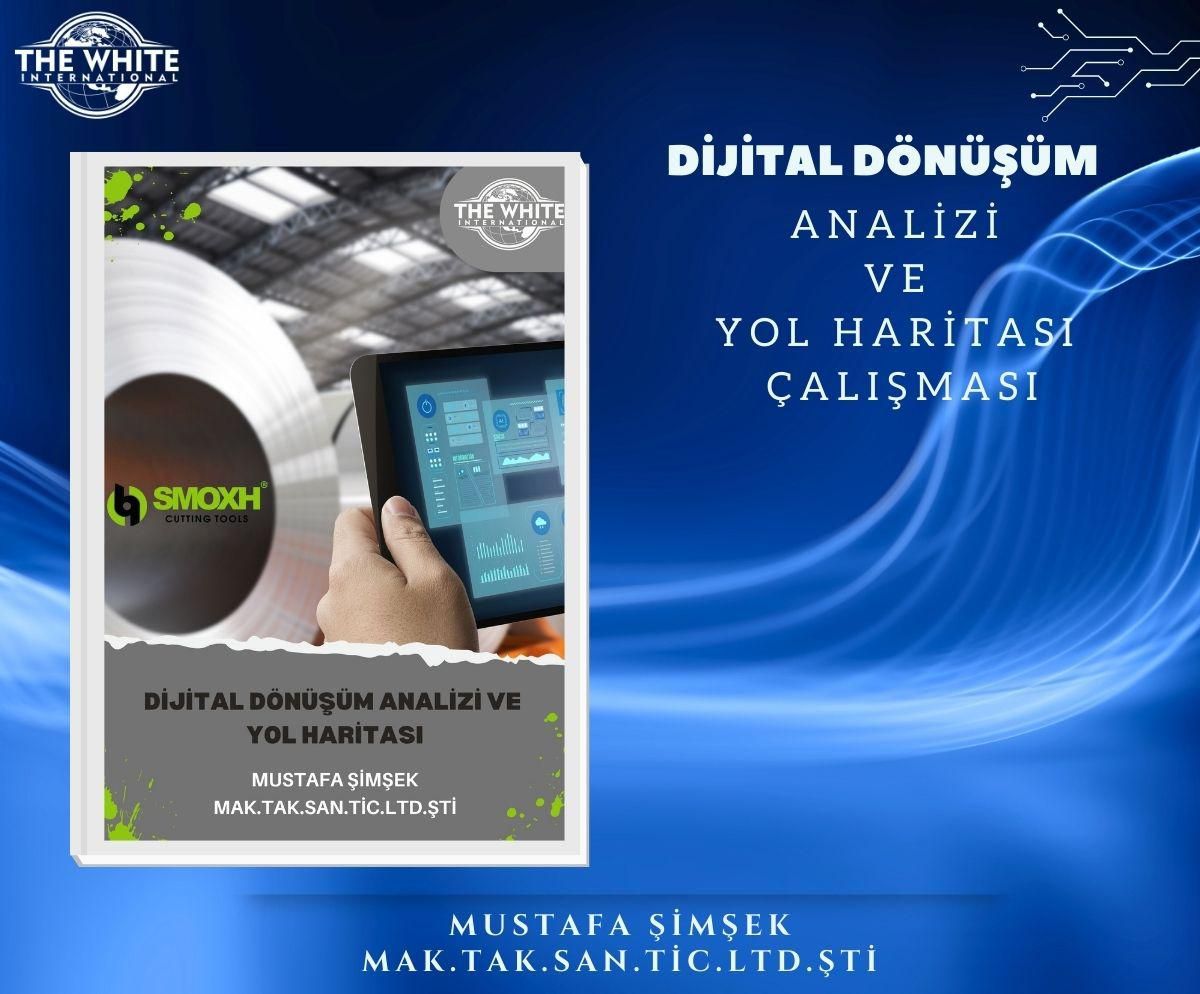 Digital Transformation Analysis and Roadmap Study-MUSTAFA ŞİMŞEK MAK. TAK. SINGING. TRADE. LTD. STI.