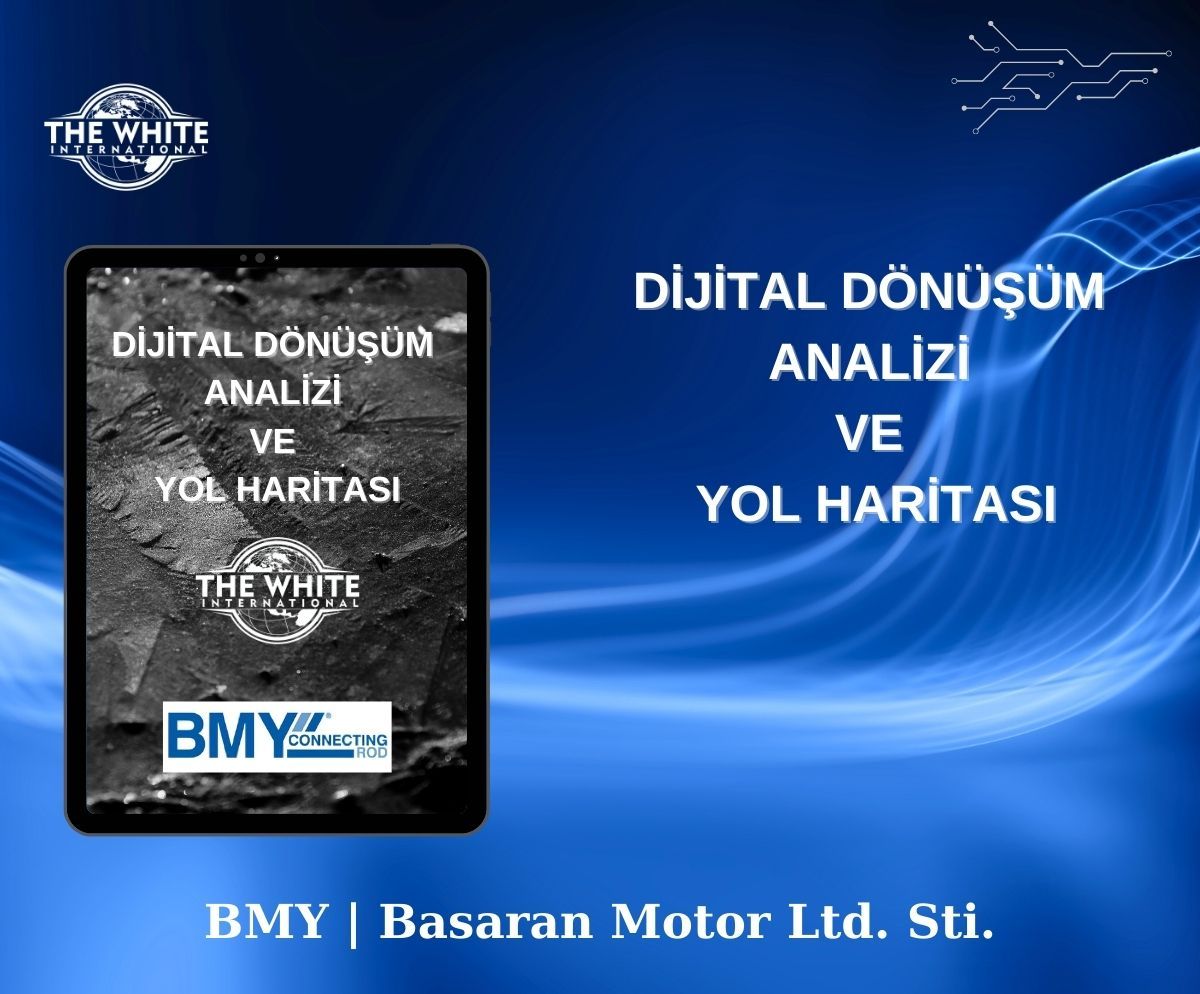 Dijital Dönüşüm Analizi ve Yol Haritası Çalışması - BAŞARAN MOTOR REKTEFİYE SAN. VE TİC. LTD. ŞTİ.