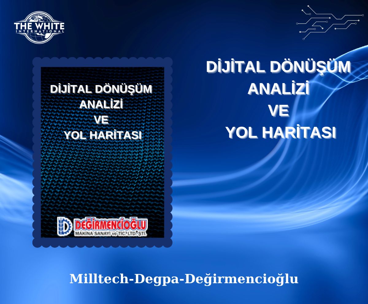 Dijital Dönüşüm Analizi ve Yol Haritası Çalışması - Değirmencioğlu Mak. San. ve Tic. Ltd. Şti.