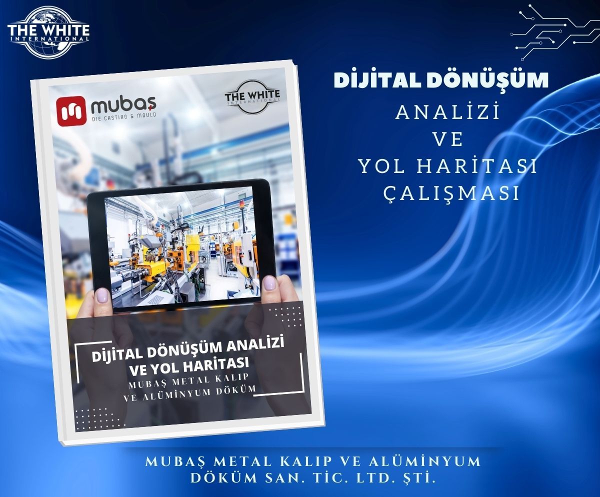 Digital Transformation Analysis and Roadmap Study - MUBAŞ METAL KALIP VE ALUMINYUM DÖKÜM SAN. TRADE. LTD. STI.