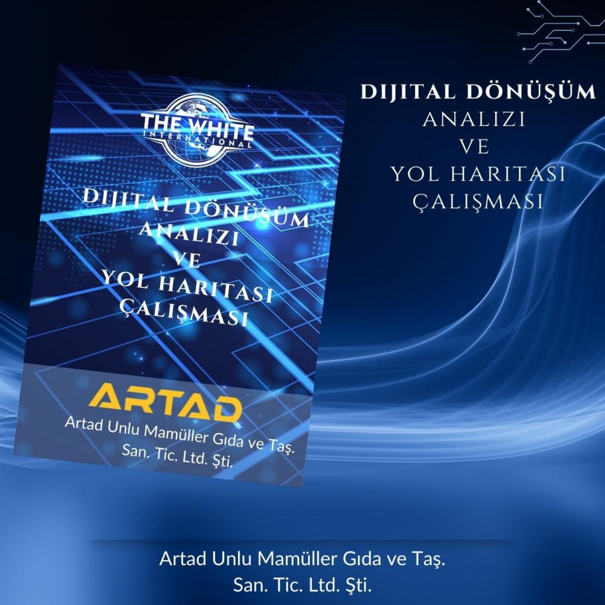 Digital Transformation Analysis and Roadmap Study-Artad Unlu Mamüller Gıda ve Taş. Singing. Trade Ltd. Sti.