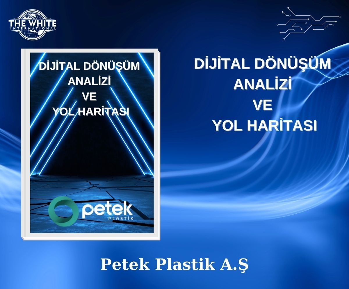 Dijital Dönüşüm Analizi ve Yol Haritası Çalışması - PETEK KALIP AMBALAJ MAK. PLASTİK SAN.VE TİC.A.Ş