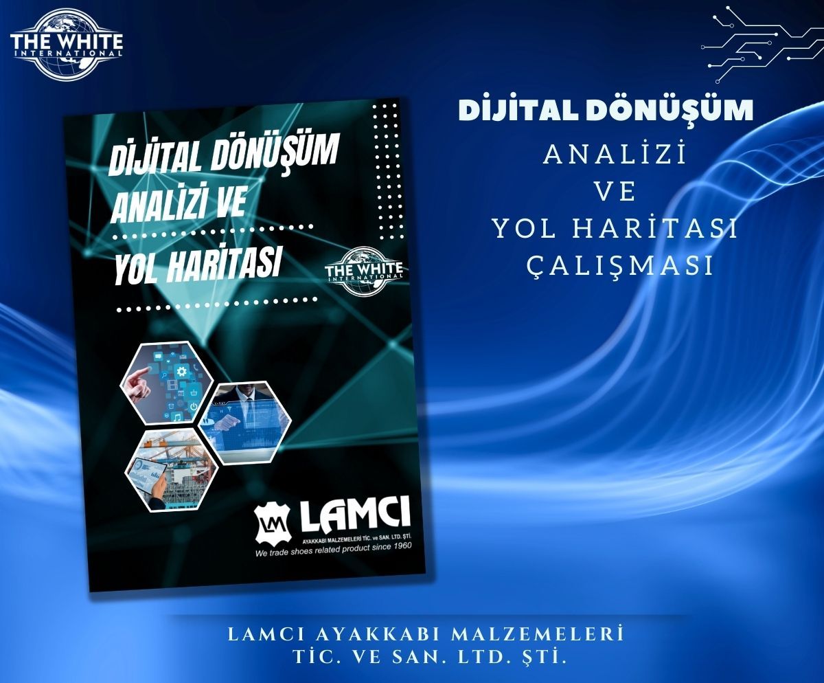 Digital Transformation Analysis and Roadmap Study - LAMCI AYAKKABI MALZEMELERİ TİC. VE SAN. LTD. STI.