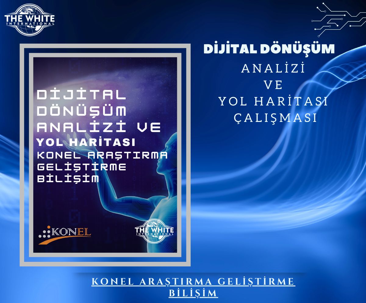 Digital Transformation Analysis and Roadmap Study - Konel Research Gelişim Bilişim Otom. electr. and Dam. Speed. Singing. Trade Ltd. Ltd.