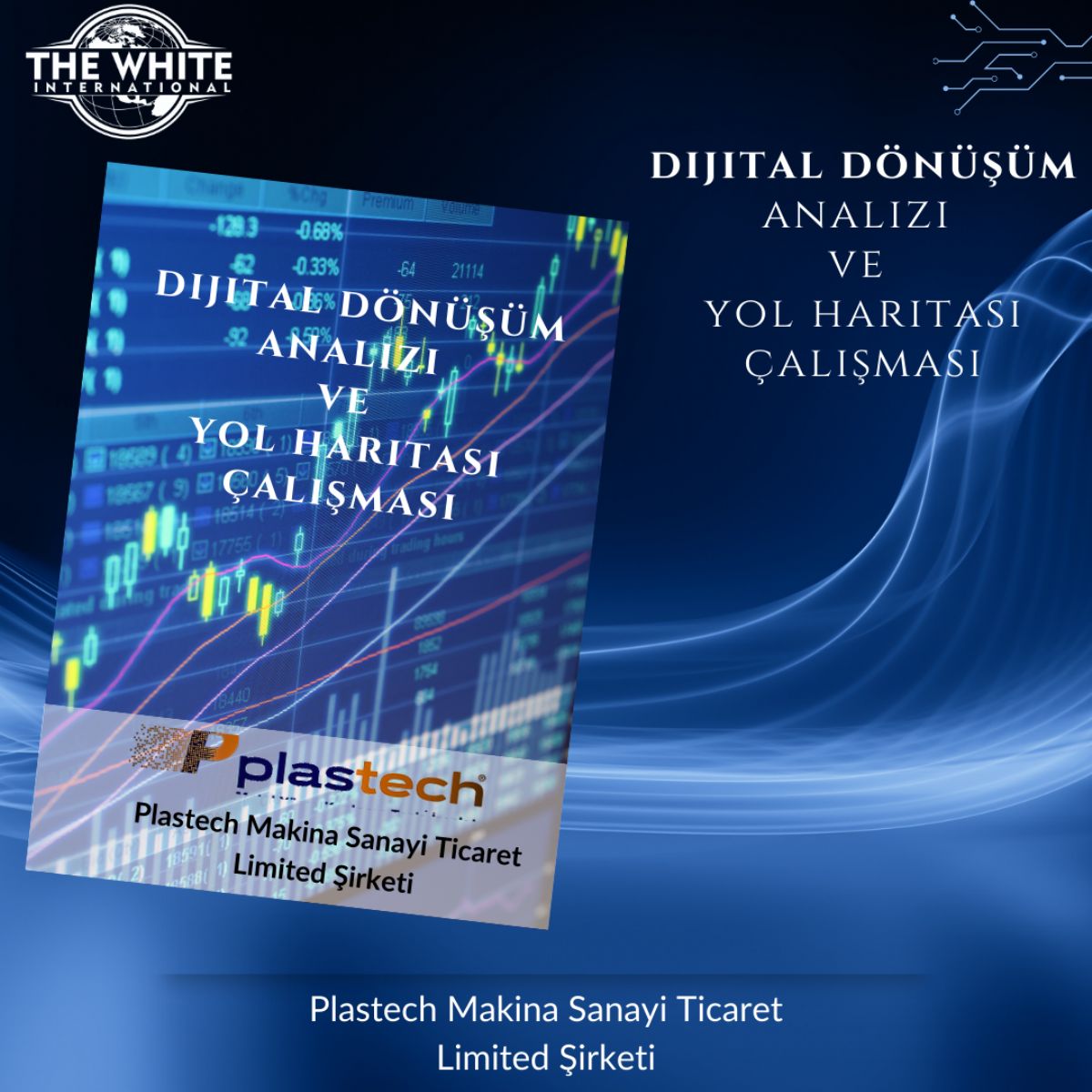 Digital Transformation Analysis and Roadmap Study-Plastech Makina Sanayi Ticaret Limited Şirketi