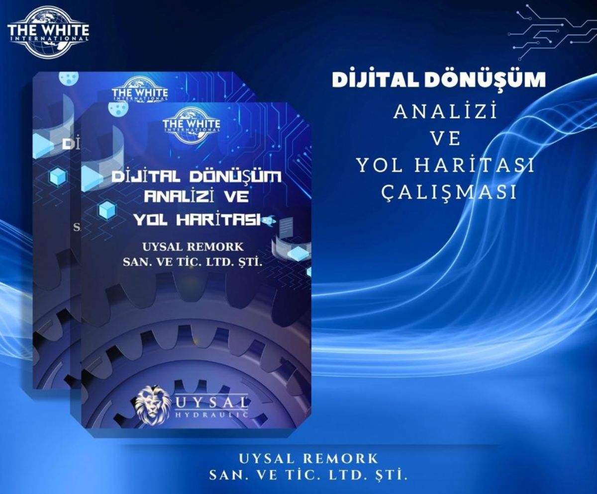 UYSAL REMORK SANAYİ VE TİCARET LİMİTED ŞİRKETİ Digital Transformation and Roadmap Study